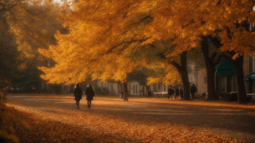 Transition Casual : De l'Été à l'Automne